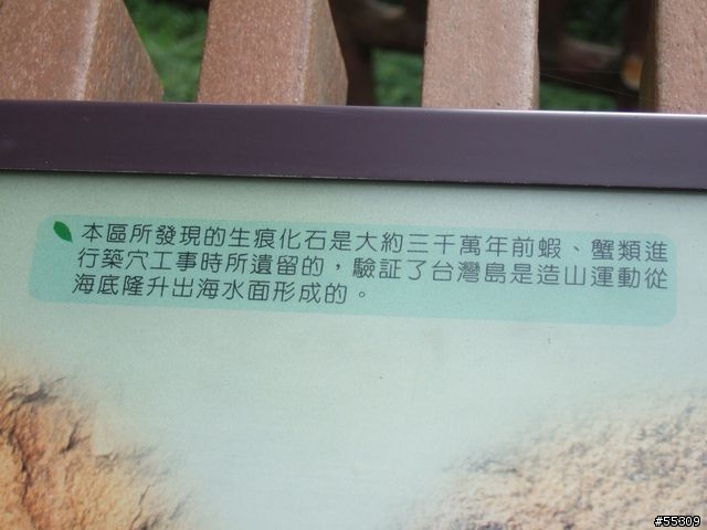 東眼山森林遊樂區