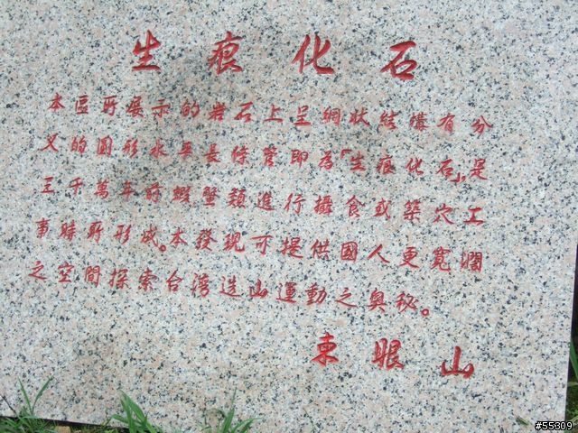 東眼山森林遊樂區
