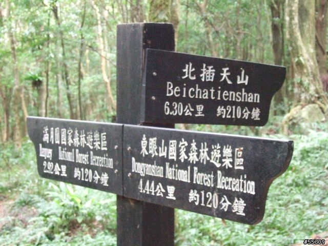東眼山森林遊樂區