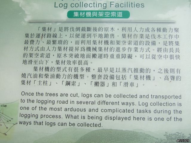 東眼山森林遊樂區