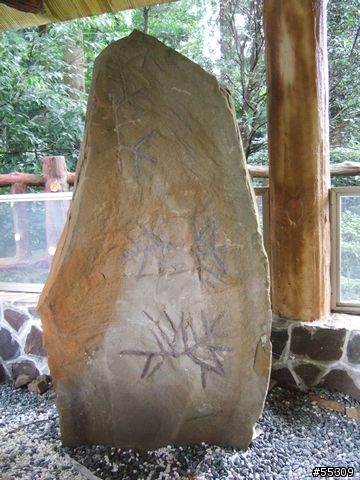 東眼山森林遊樂區