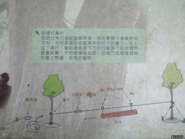 東眼山森林遊樂區