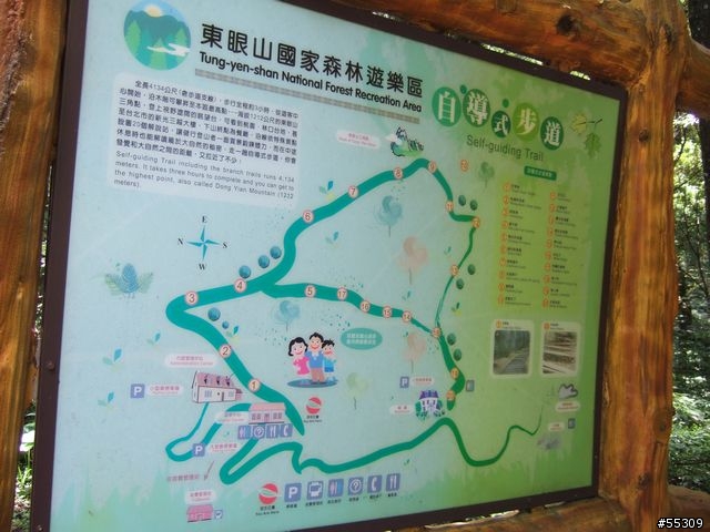東眼山森林遊樂區