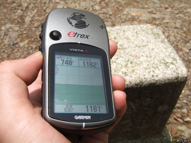 東眼山森林遊樂區