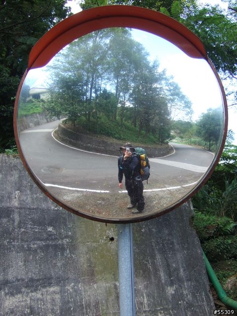 東眼山森林遊樂區
