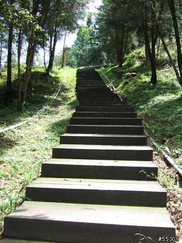 東眼山森林遊樂區