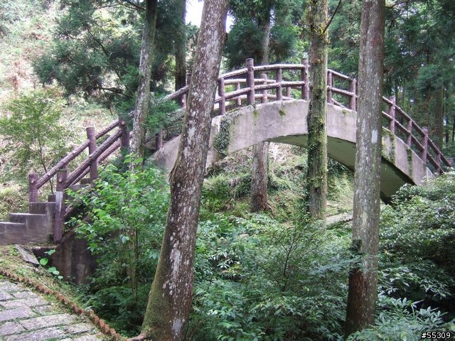 東眼山森林遊樂區