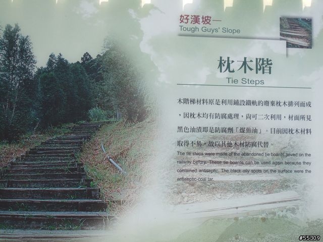 東眼山森林遊樂區