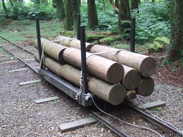 東眼山森林遊樂區