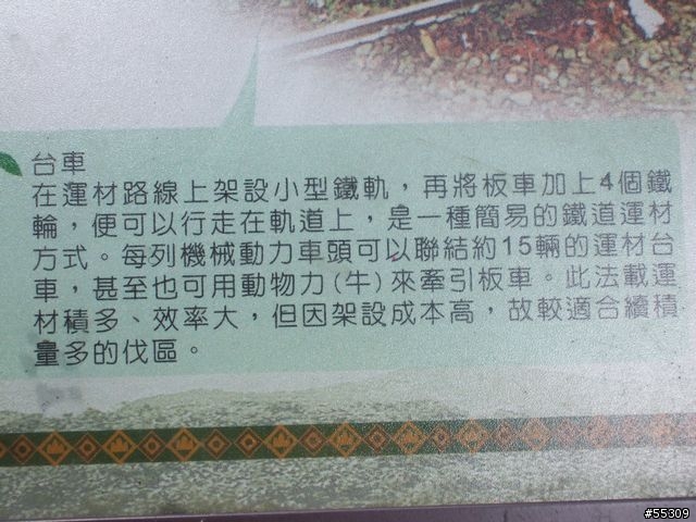 東眼山森林遊樂區