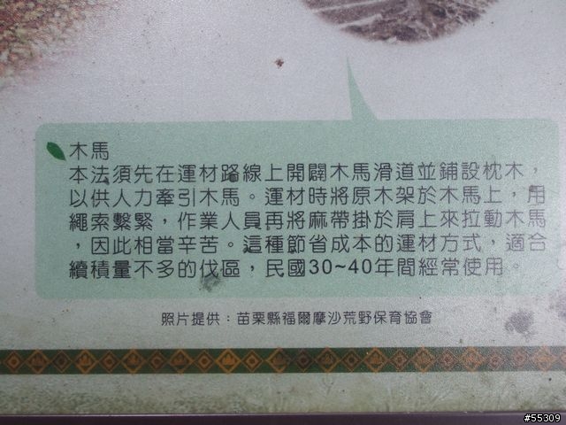 東眼山森林遊樂區
