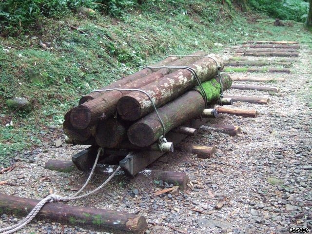 東眼山森林遊樂區