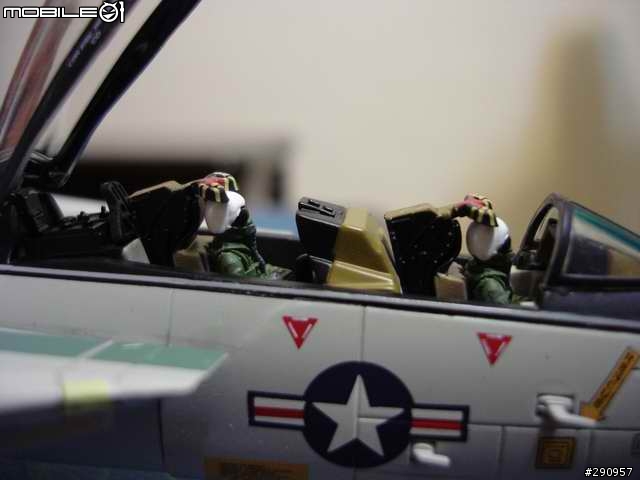 (應該不算逸品)即將退役的F14 TOMCAT VF41 BLACKACES