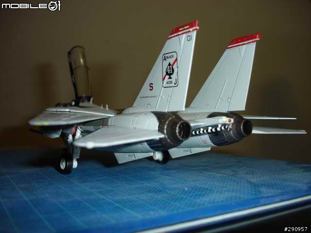 (應該不算逸品)即將退役的F14 TOMCAT VF41 BLACKACES
