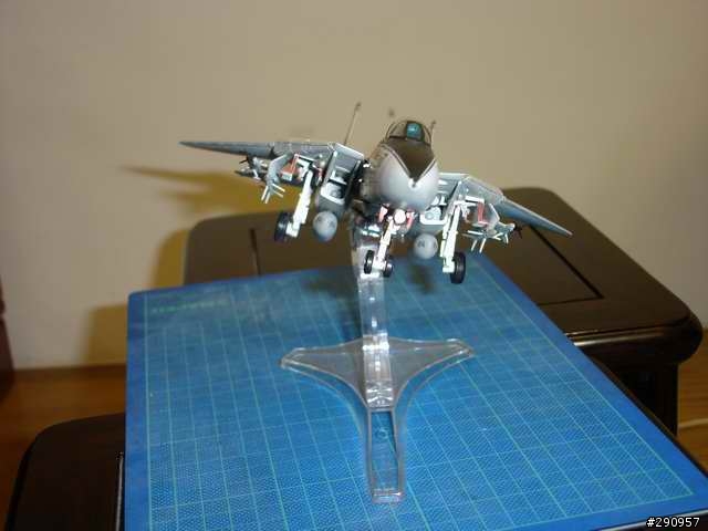 (應該不算逸品)即將退役的F14 TOMCAT VF41 BLACKACES