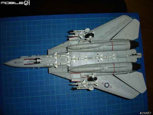 (應該不算逸品)即將退役的F14 TOMCAT VF41 BLACKACES