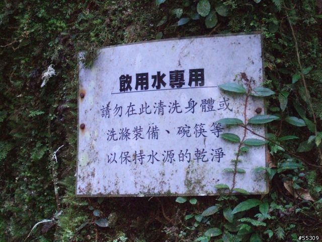 東眼山森林遊樂區