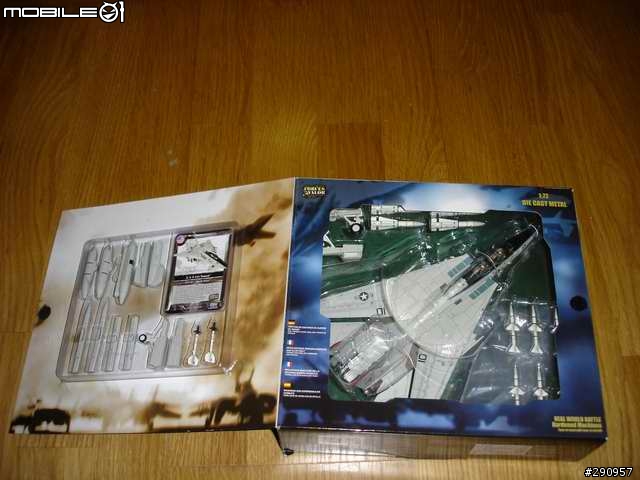(應該不算逸品)即將退役的F14 TOMCAT VF41 BLACKACES
