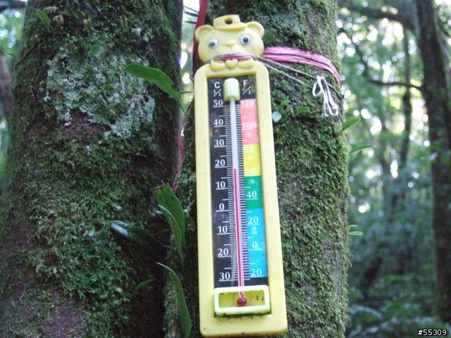 東眼山森林遊樂區