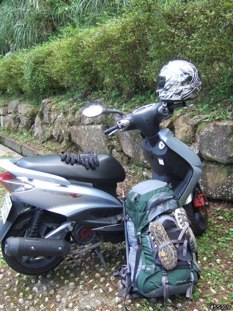 東眼山森林遊樂區