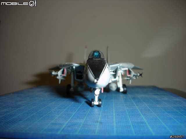 (應該不算逸品)即將退役的F14 TOMCAT VF41 BLACKACES
