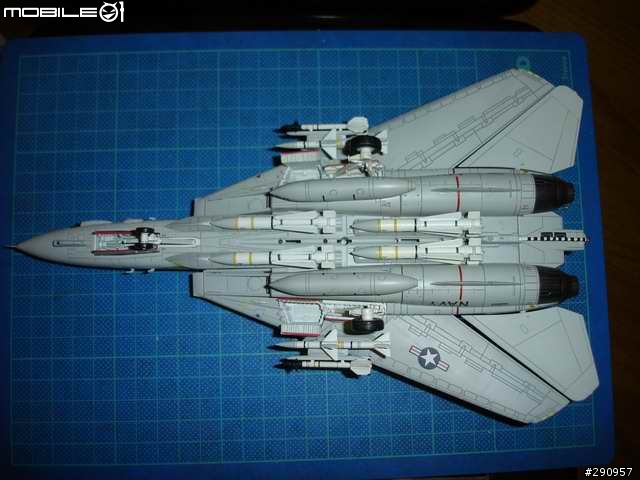 (應該不算逸品)即將退役的F14 TOMCAT VF41 BLACKACES