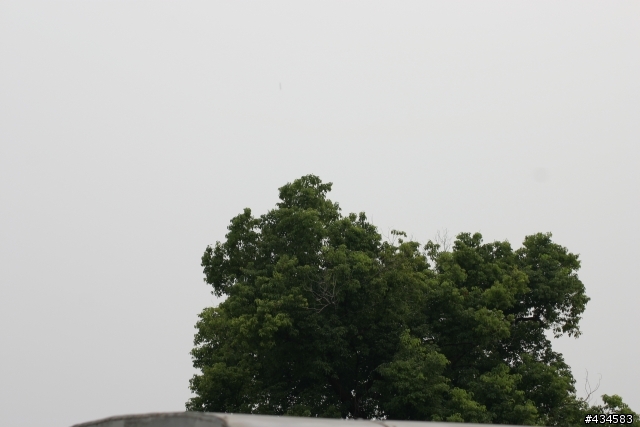 騰龍 A17 VS SIGMA 70-300 DG