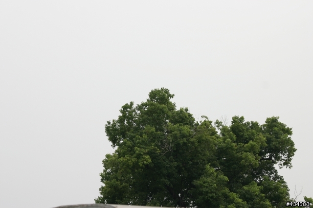 騰龍 A17 VS SIGMA 70-300 DG