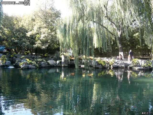 {分享}濟南趵突泉