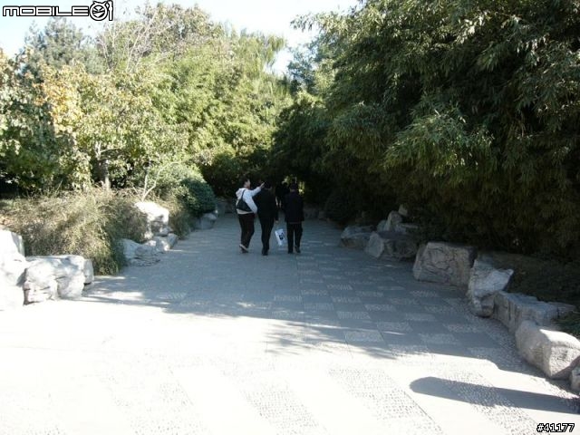 {分享}濟南趵突泉