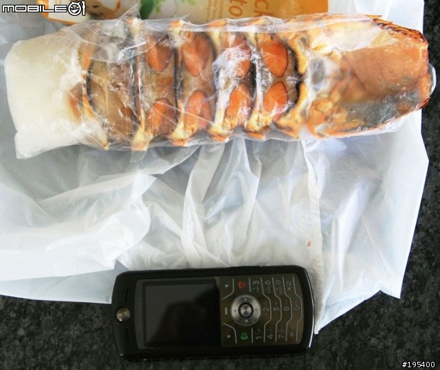 紐西蘭 皇后鎮