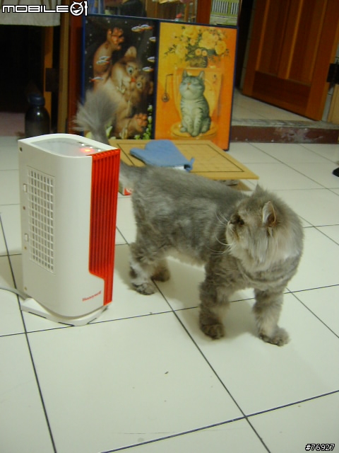 天氣冷了~給我暖暖的冬天 HoneyWell HZ-385 風扇式陶瓷電暖器