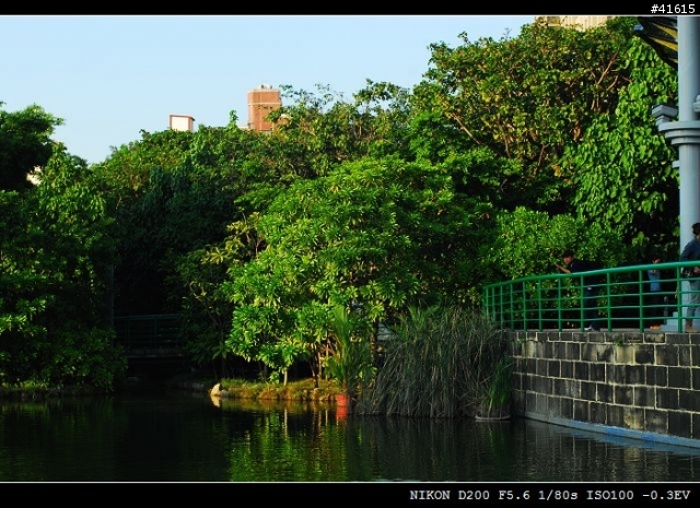 Nikkor-S 50mm F1.4, Nikkor-Q 135mm F2.8 老鏡對決