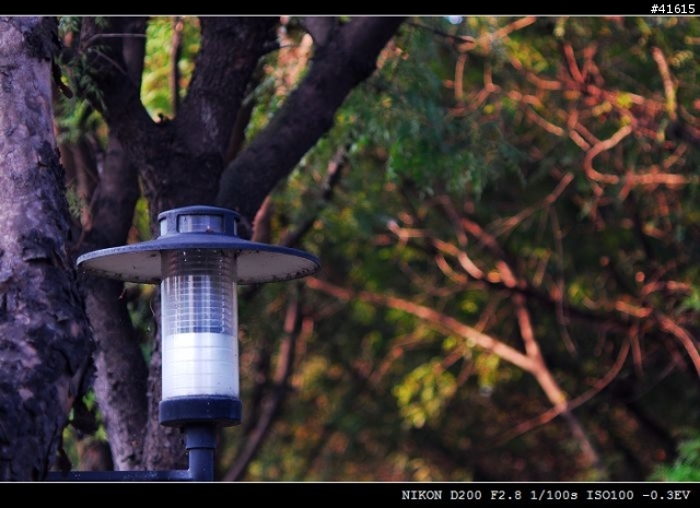 Nikkor-S 50mm F1.4, Nikkor-Q 135mm F2.8 老鏡對決