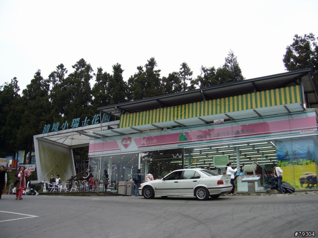 My Peugeot 307 & 清境農場探勘行!
