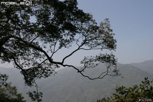 18年的老鏡頭,Canon 28-80mm F2.8-4 L USM,更新圖片