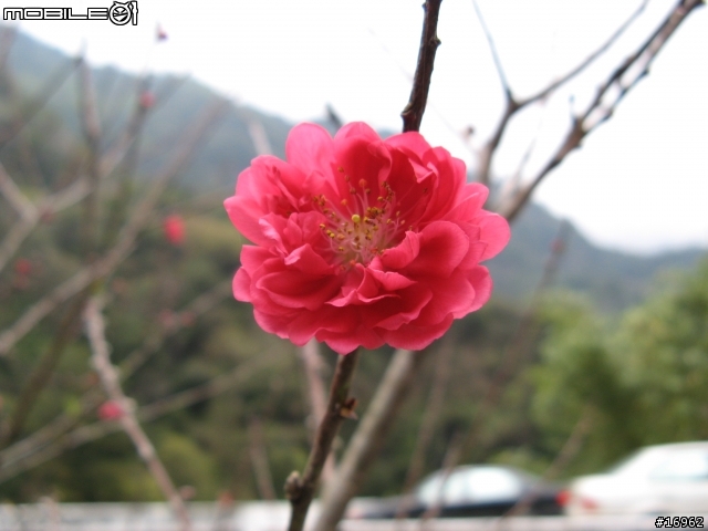 ﹝分享﹞南橫-南迴一日遊