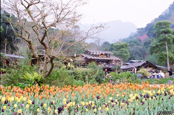 富田農場&桃源仙谷摔鏡之旅