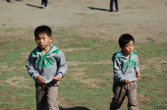 過年的紅包禮 Nikkor AF 28-105 mm  f3.5-4.5 D