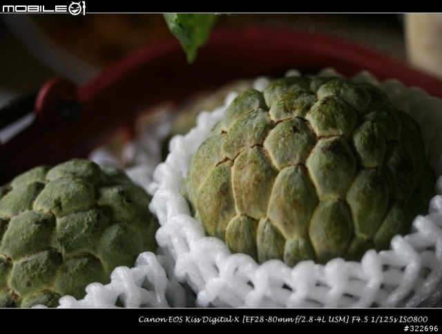 18年的老鏡頭,Canon 28-80mm F2.8-4 L USM,更新圖片