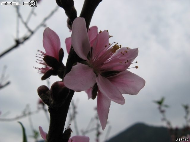 ﹝分享﹞南橫-南迴一日遊
