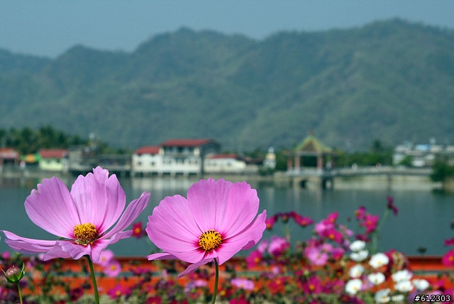 佛光山