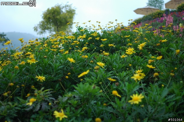 老鏡分享-Nikon AF Nikkor 28mm F2.8