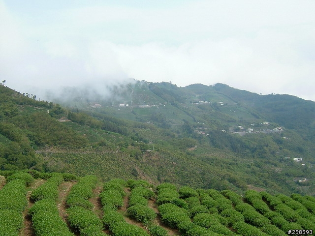 04/02雲林華山~碧湖山~二尖山輕鬆騎