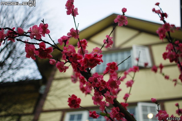 老鏡分享-Nikon AF Nikkor 28mm F2.8