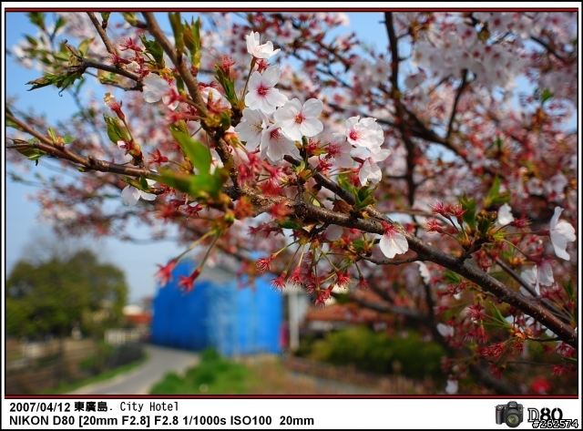(紅與黑) Nikon 配件開袋分享 part2