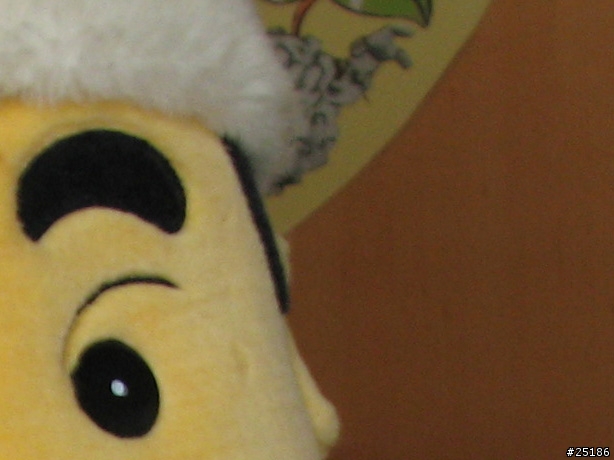 是DV也是DC - Canon TX1