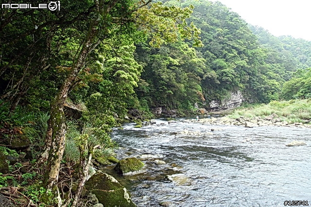坪林_黑龍潭露營地