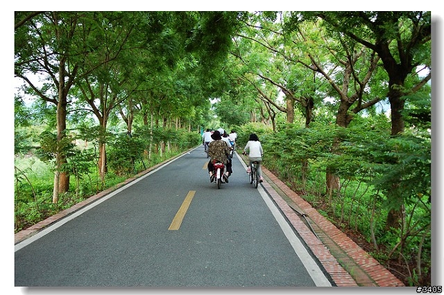我與單車的約會‧東豐自行車綠廊