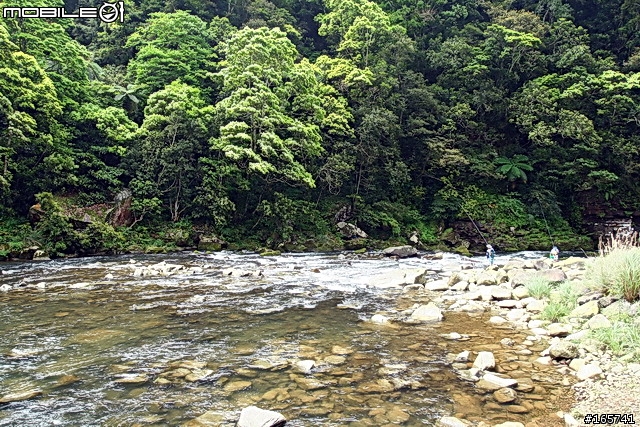 坪林_黑龍潭露營地
